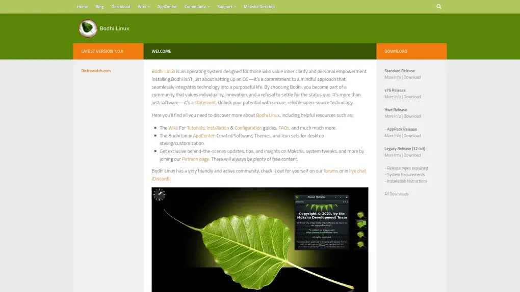 Bodhi Linux screenshot