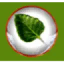 Bodhi Linux logo
