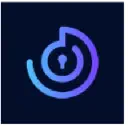 RAV VPN logo